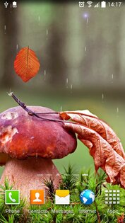 Осень Живые Обои 1.0.10. Скриншот 6