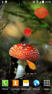 Осень Живые Обои 1.0.10. Скриншот 7