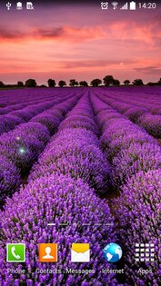 Цветы Живые Обои 1.1.12. Скриншот 5