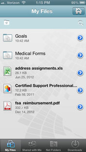 Novell Filr. Скриншот 2