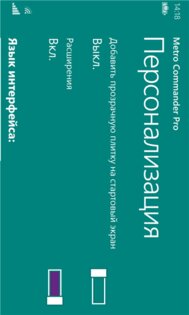 Metro Commander Pro. Скриншот 3