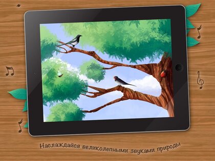 Кто на дереве живёт? Детская интерактивная мини-энциклопедия. 1.0.0. Скриншот 3