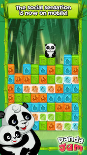 Panda Jam. Скриншот 1
