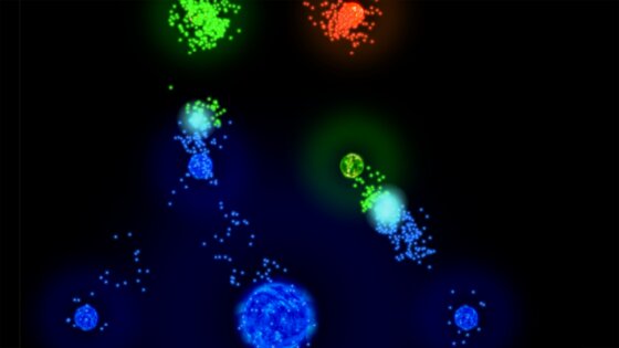 Auralux 1.85. Скриншот 3