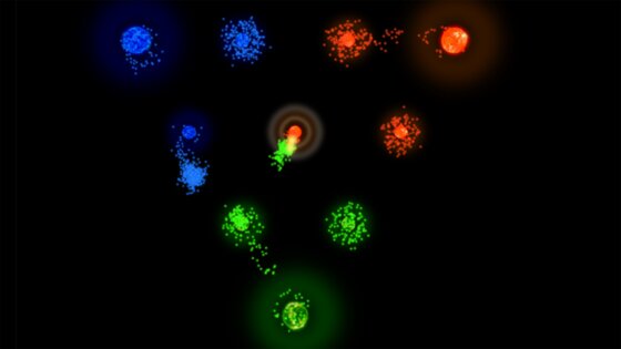 Auralux 1.85. Скриншот 5