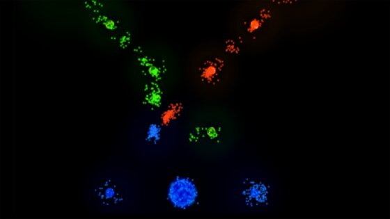 Auralux 1.85. Скриншот 10