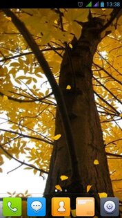 Прекрасная осень Живые обои FREE 2.0.1. Скриншот 4