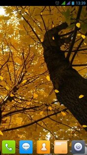 Прекрасная осень Живые обои FREE 2.0.1. Скриншот 5