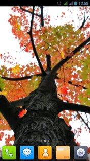 Прекрасная осень Живые обои FREE 2.0.1. Скриншот 6
