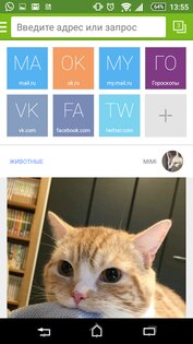 Амиго 1.10.187. Скриншот 6