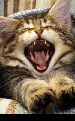 Бесплатные новинки Google Play от 22.06.2014