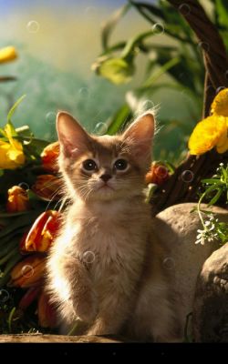 Бесплатные новинки Google Play от 22.06.2014