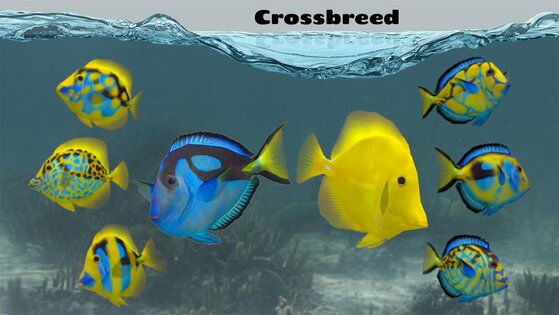 Fish Farm 2 1.5.5. Скриншот 4