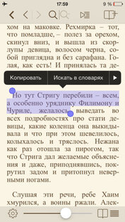 i2Reader. Скриншот 1