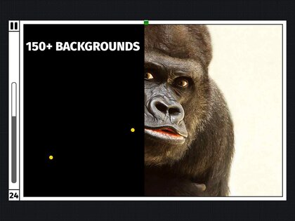 Cool Xonix 1.0. Скриншот 8