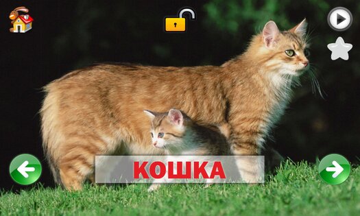 Развивающие карточки для детей 1.0.1. Скриншот 2