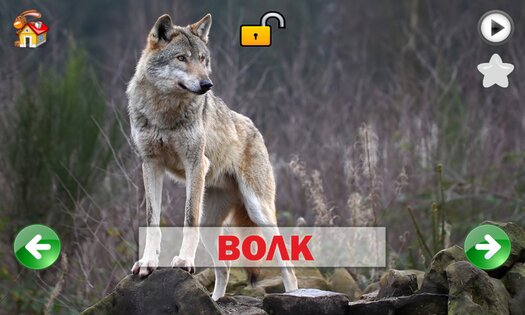 Развивающие карточки для детей 1.0.1. Скриншот 3