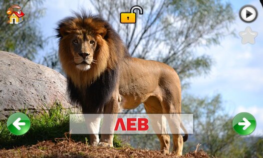 Развивающие карточки для детей 1.0.1. Скриншот 4