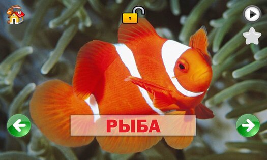 Развивающие карточки для детей 1.0.1. Скриншот 6