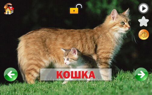 Развивающие карточки для детей 1.0.1. Скриншот 9