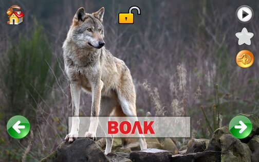 Развивающие карточки для детей 1.0.1. Скриншот 10