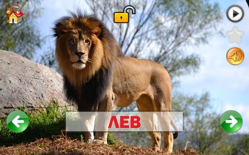 Развивающие карточки для детей 1.0.1. Скриншот 11