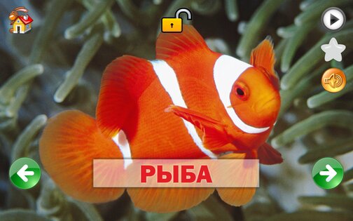 Развивающие карточки для детей 1.0.1. Скриншот 13