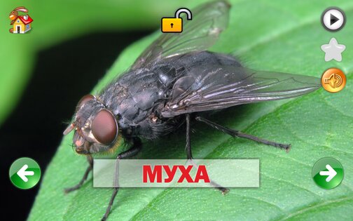 Развивающие карточки для детей 1.0.1. Скриншот 14