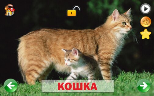 Развивающие карточки для детей 1.0.1. Скриншот 16