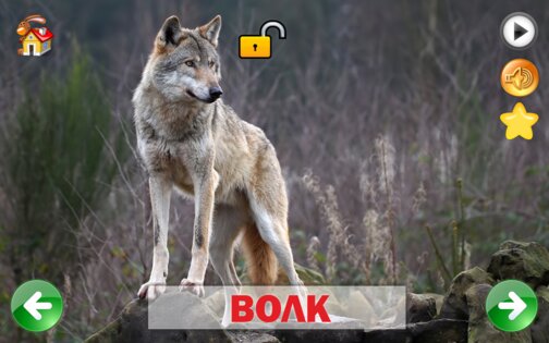 Развивающие карточки для детей 1.0.1. Скриншот 17