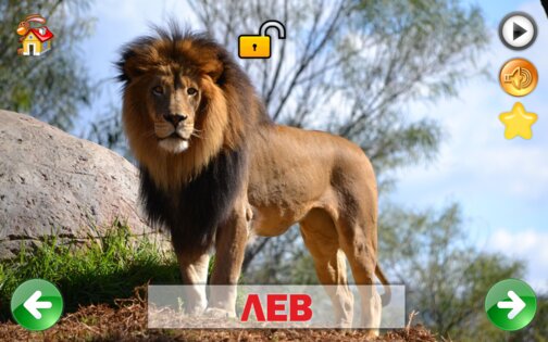 Развивающие карточки для детей 1.0.1. Скриншот 18