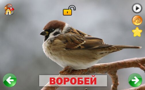 Развивающие карточки для детей 1.0.1. Скриншот 19