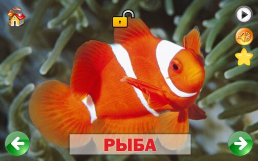 Развивающие карточки для детей 1.0.1. Скриншот 20