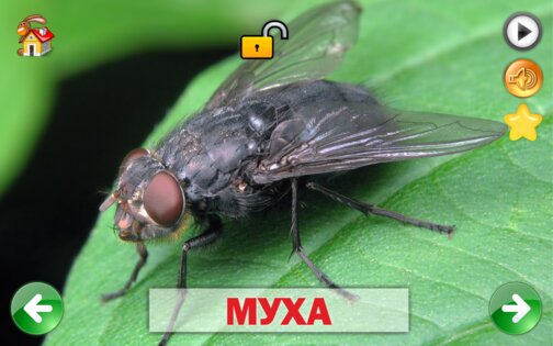 Развивающие карточки для детей 1.0.1. Скриншот 21