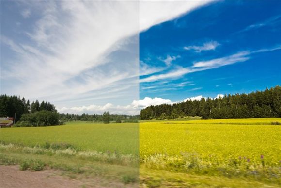 WP 8.1: инструкции #4
