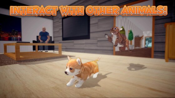 Bunny Simulator 1.0.2. Скриншот 13