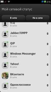 Gtalk Video Call 1.05.2. Скриншот 2