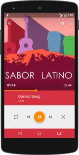 Phonograph Music Player 1.3.7. Скриншот 1