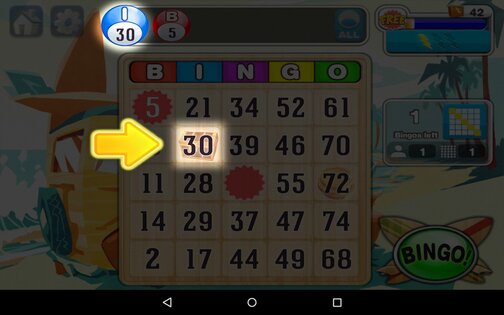 Bingo 3.4.5g. Скриншот 3