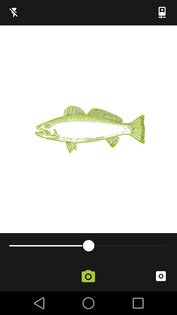 Adobe Shape 1.3. Скриншот 1