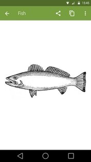 Adobe Shape 1.3. Скриншот 2