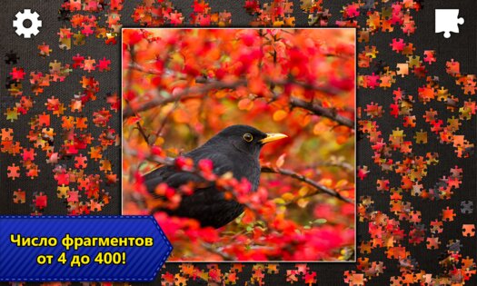 Jigsaw Puzzle Epic 2.0.7. Скриншот 5