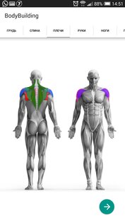 Бодибилдинг 3.4.2. Скриншот 3