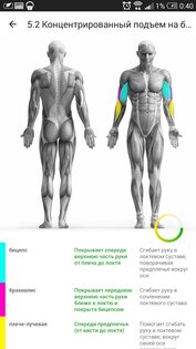 Бодибилдинг 3.4.2. Скриншот 4