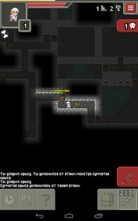 Remixed Dungeon 32.3.alpha.19. Скриншот 16