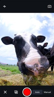 GIF Camera 2.1.3. Скриншот 2