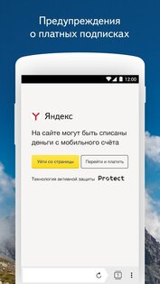 Яндекс Браузер Бета 25.12.1.115. Скриншот 6