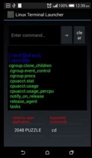 Linux Terminal Launcher 1.0. Скриншот 2