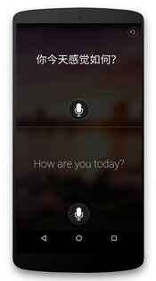 Переводчик Microsoft 25.10.2.8. Скриншот 6