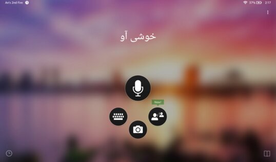 Переводчик Microsoft 25.10.2.8. Скриншот 9